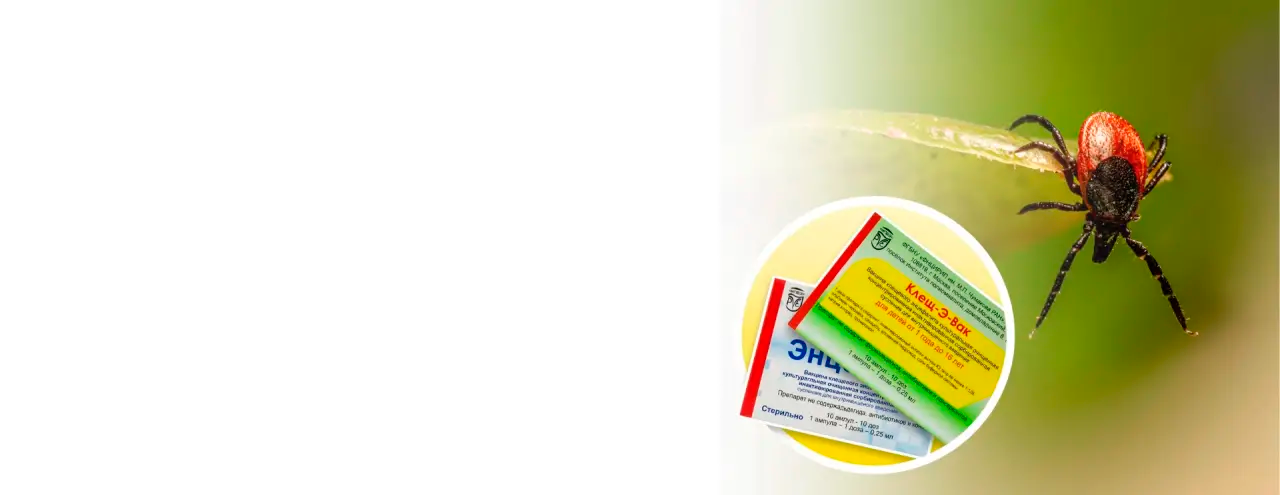 Вакцинация от клещевого энцефалита